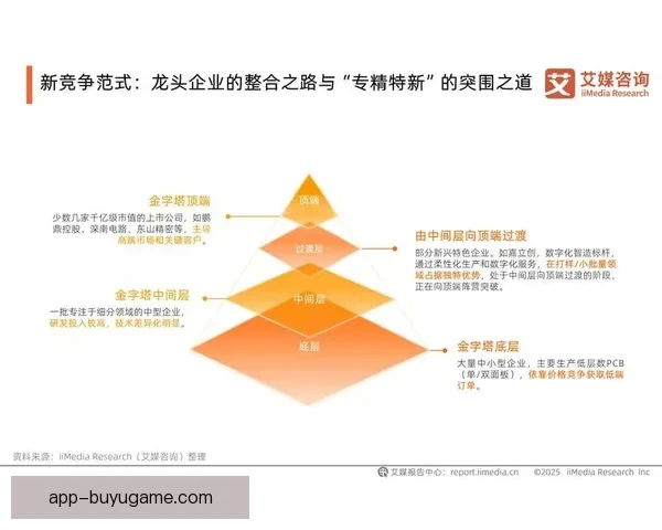 围绕布雷2-2费恩哈普展开的战略价值演变与未来发展趋势深度解析